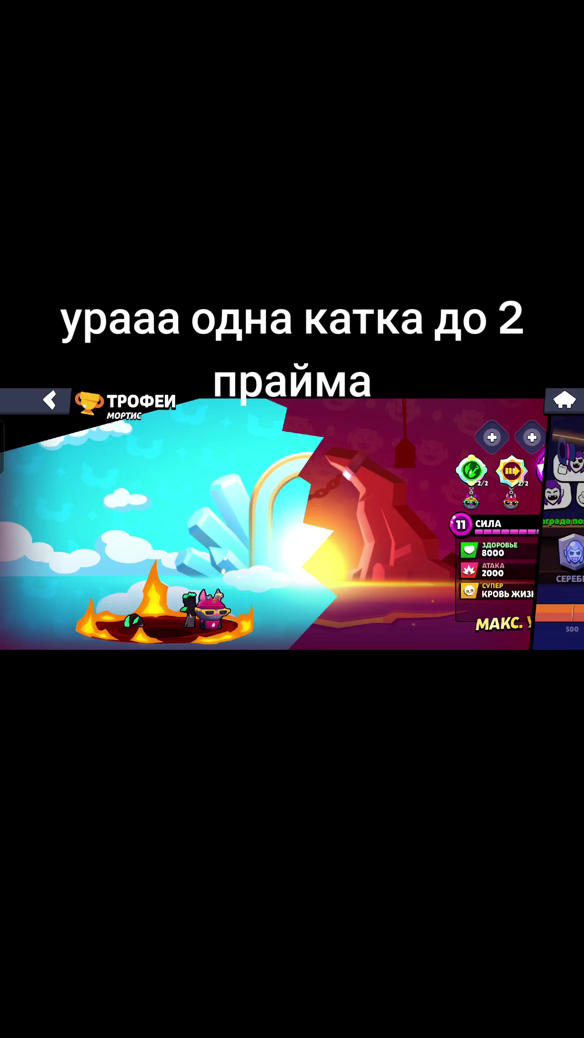 @Мирон пчеловод 🐝