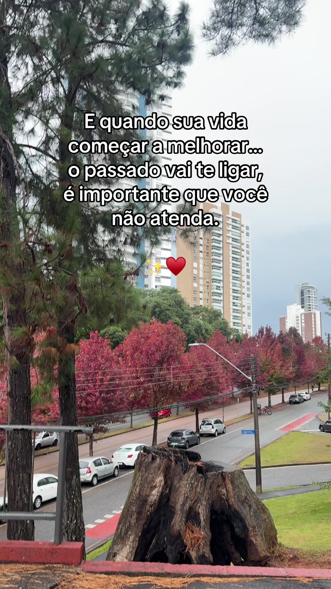 @criis_ps