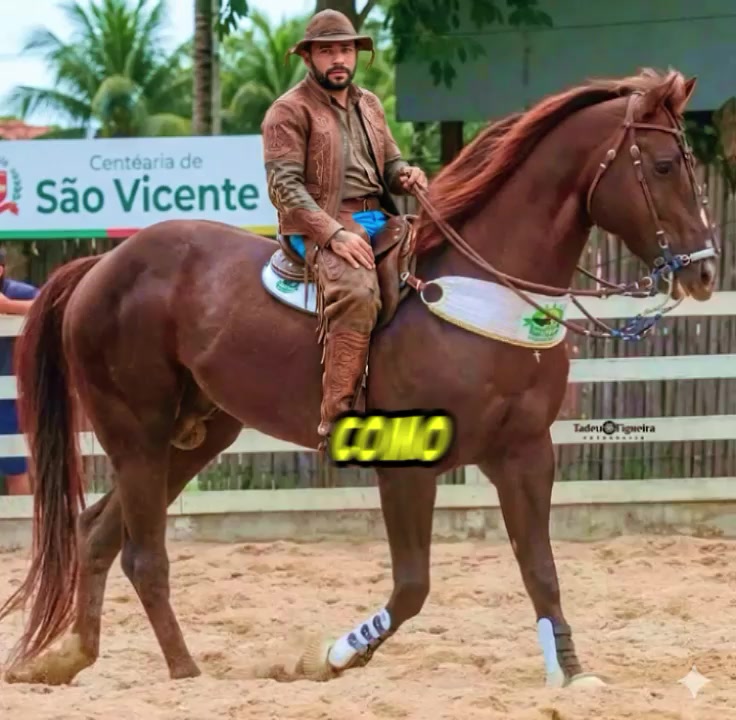 @M&aacute;rcio greyck