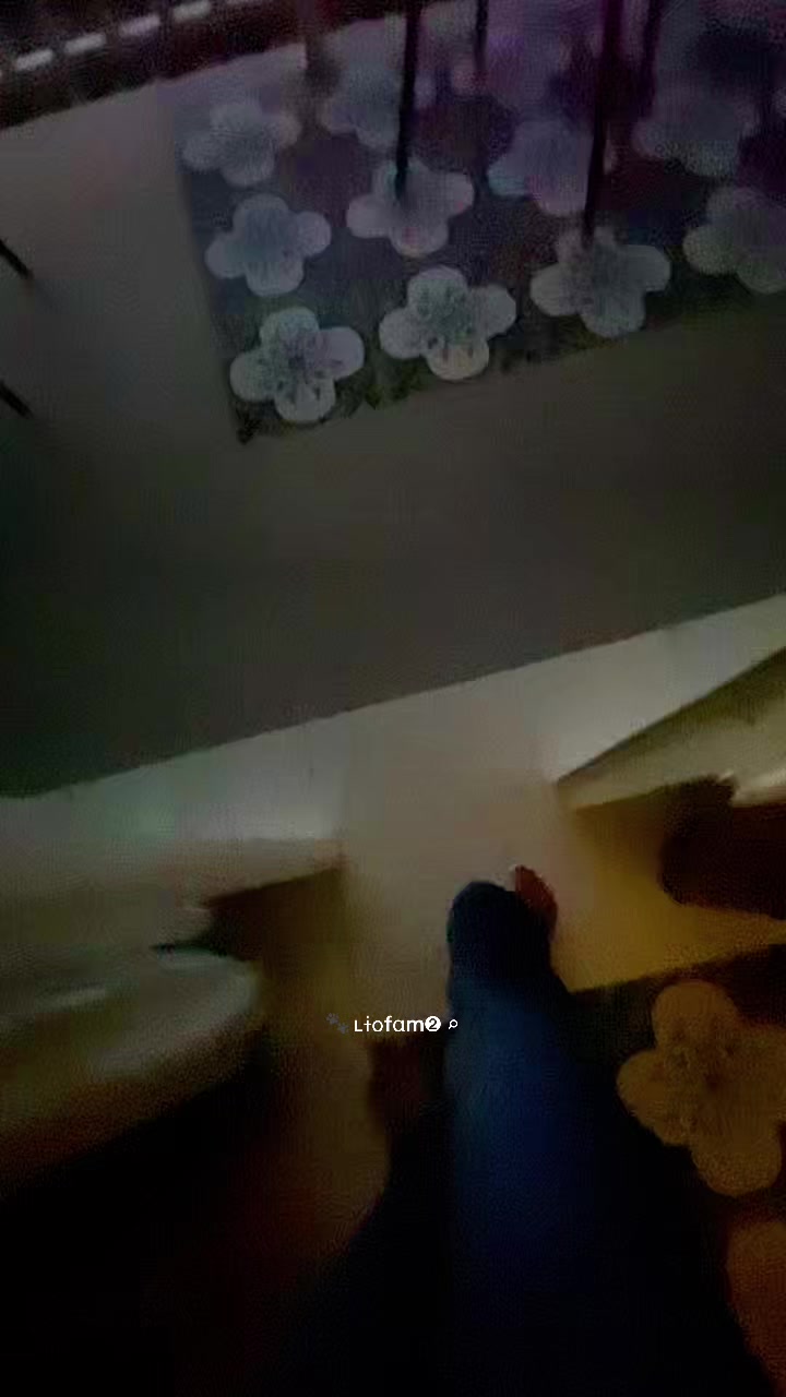 @ʟɨօfαm➋ ⌕ 🐾