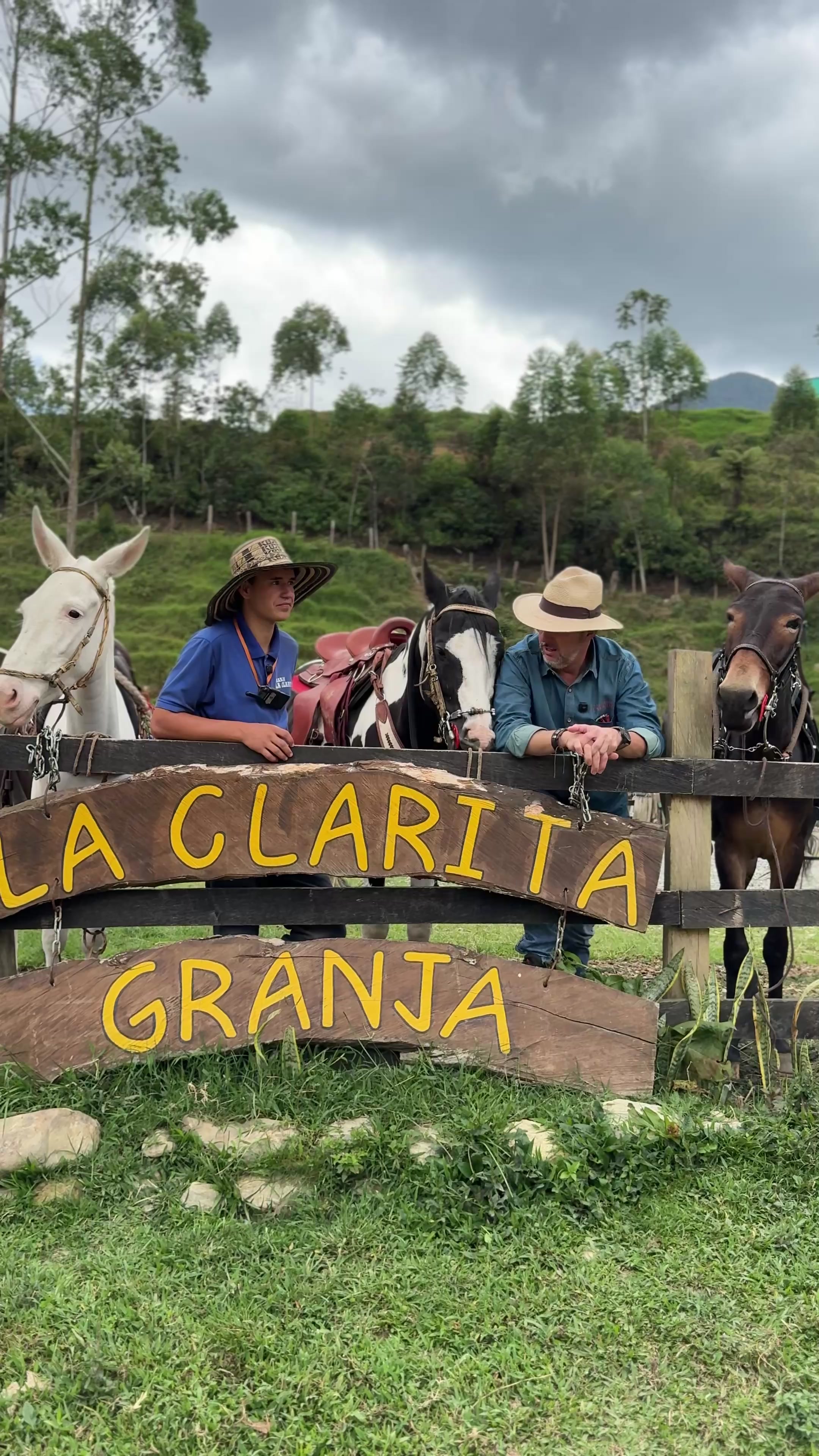 @Experiencias Equinas