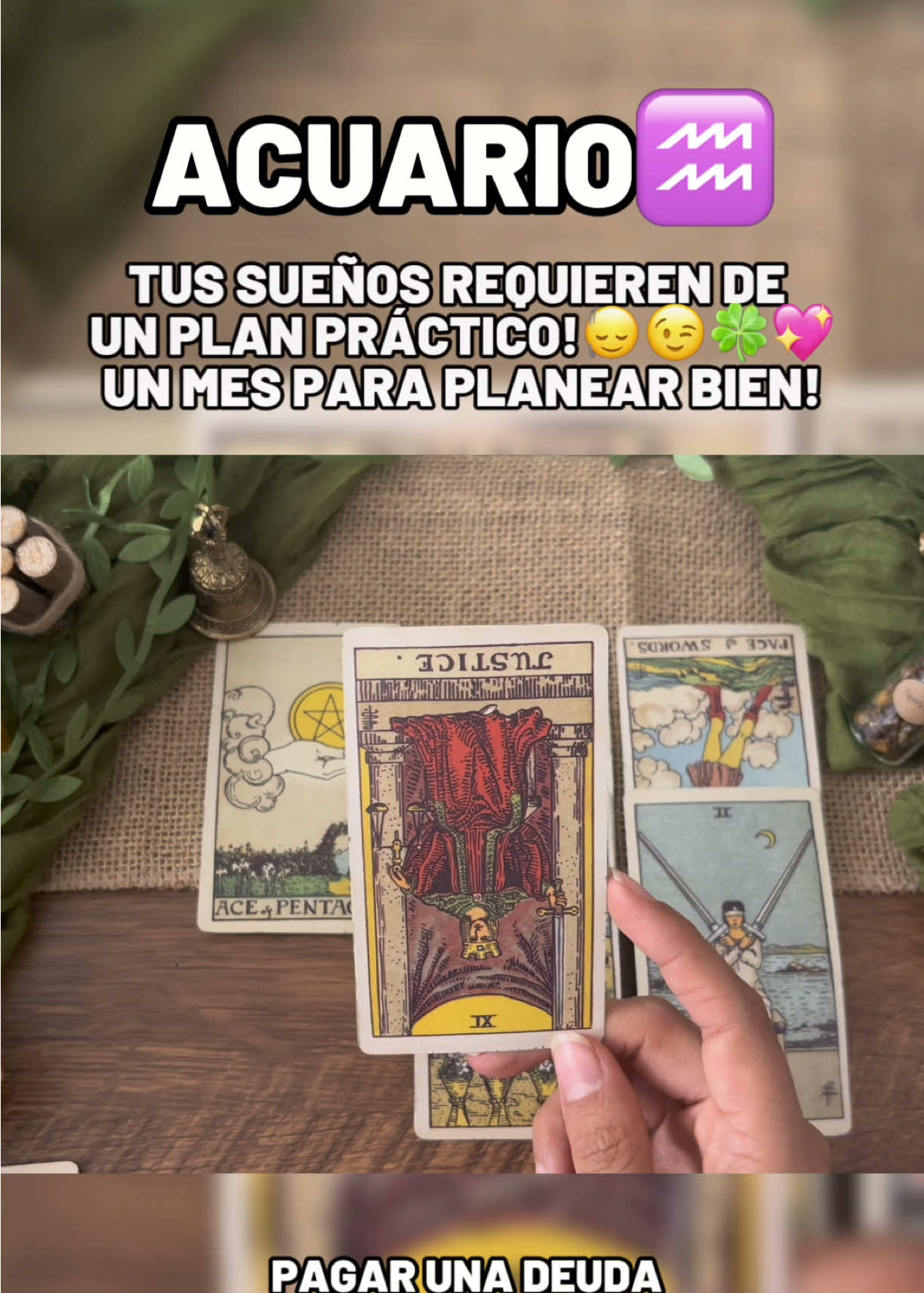 @Andy Sun Tarot ☀️