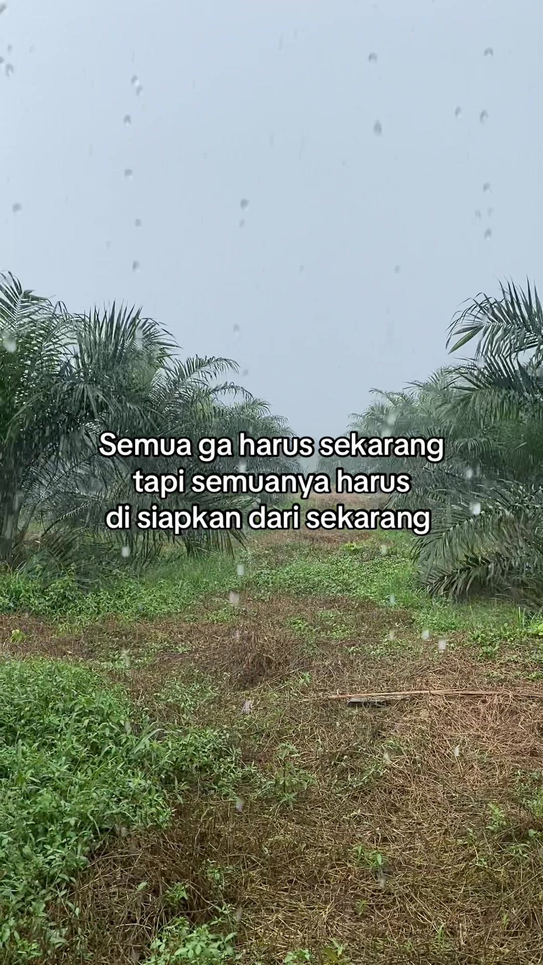@Nildo Wiransyah