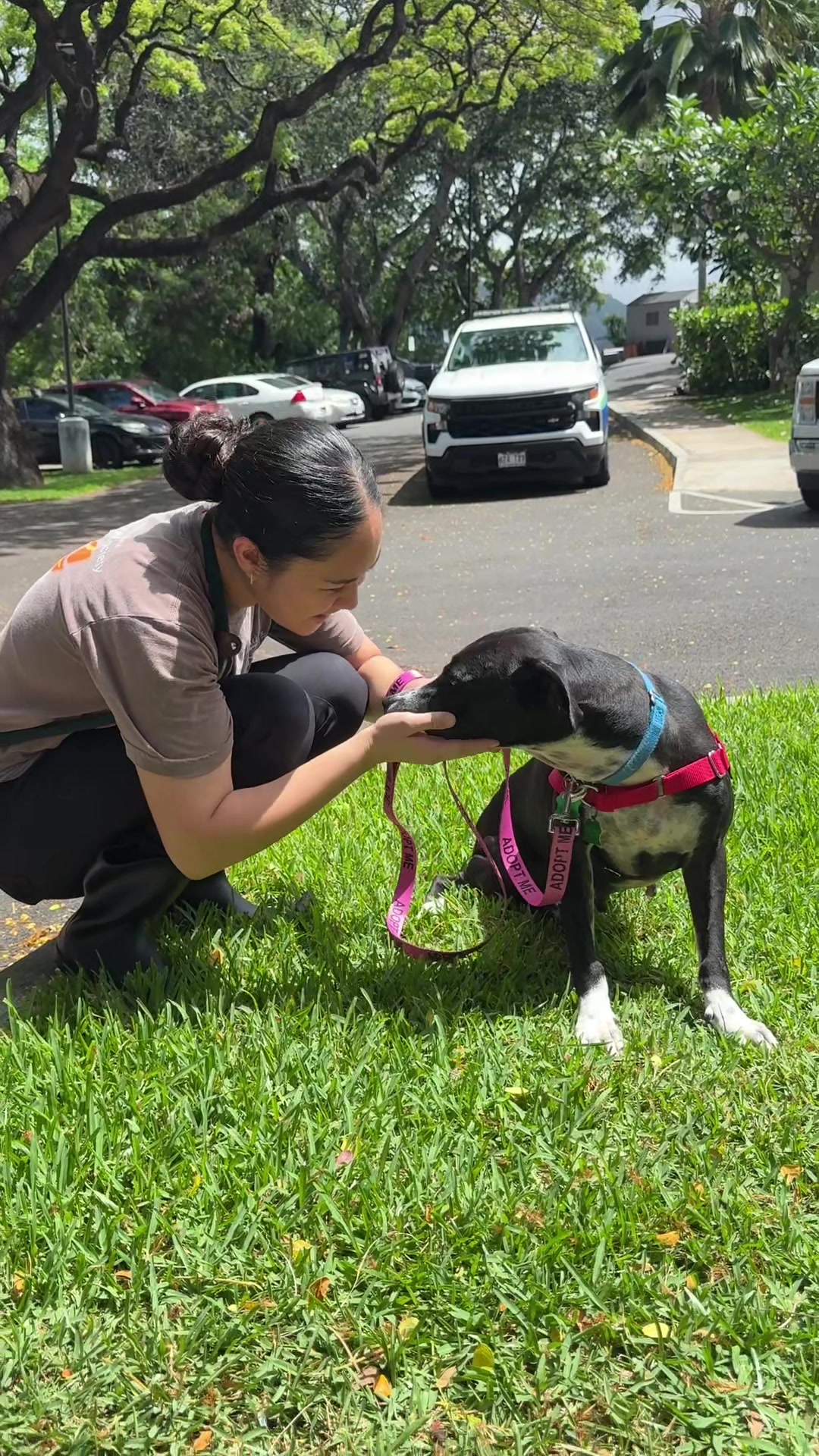 @Hawaiian Humane Society