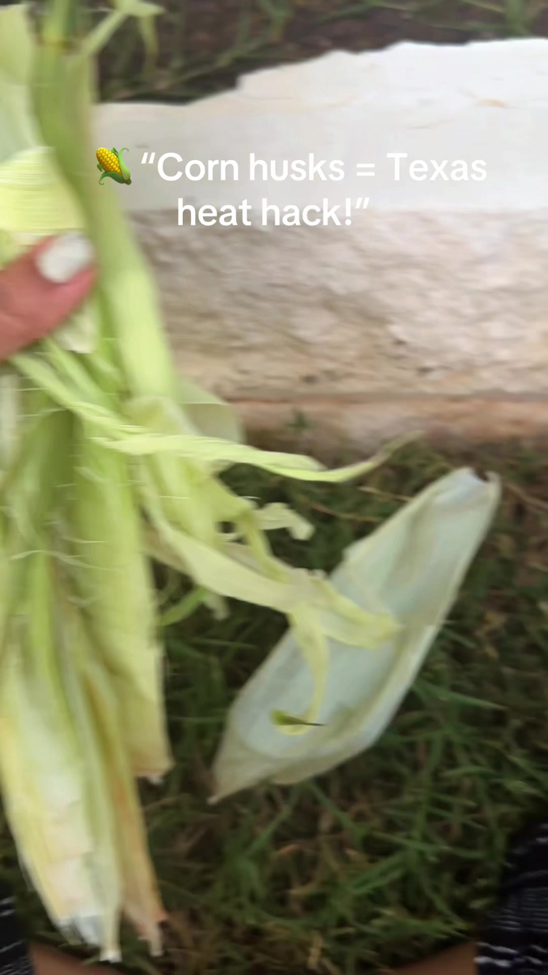 @Fauzia garden Lover