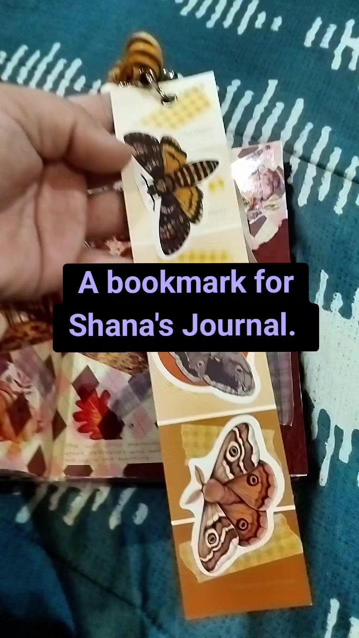@M's Journal Journey