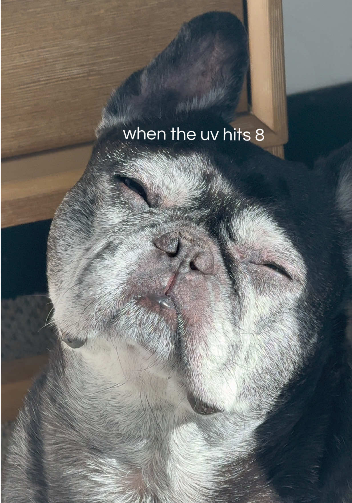 @CC