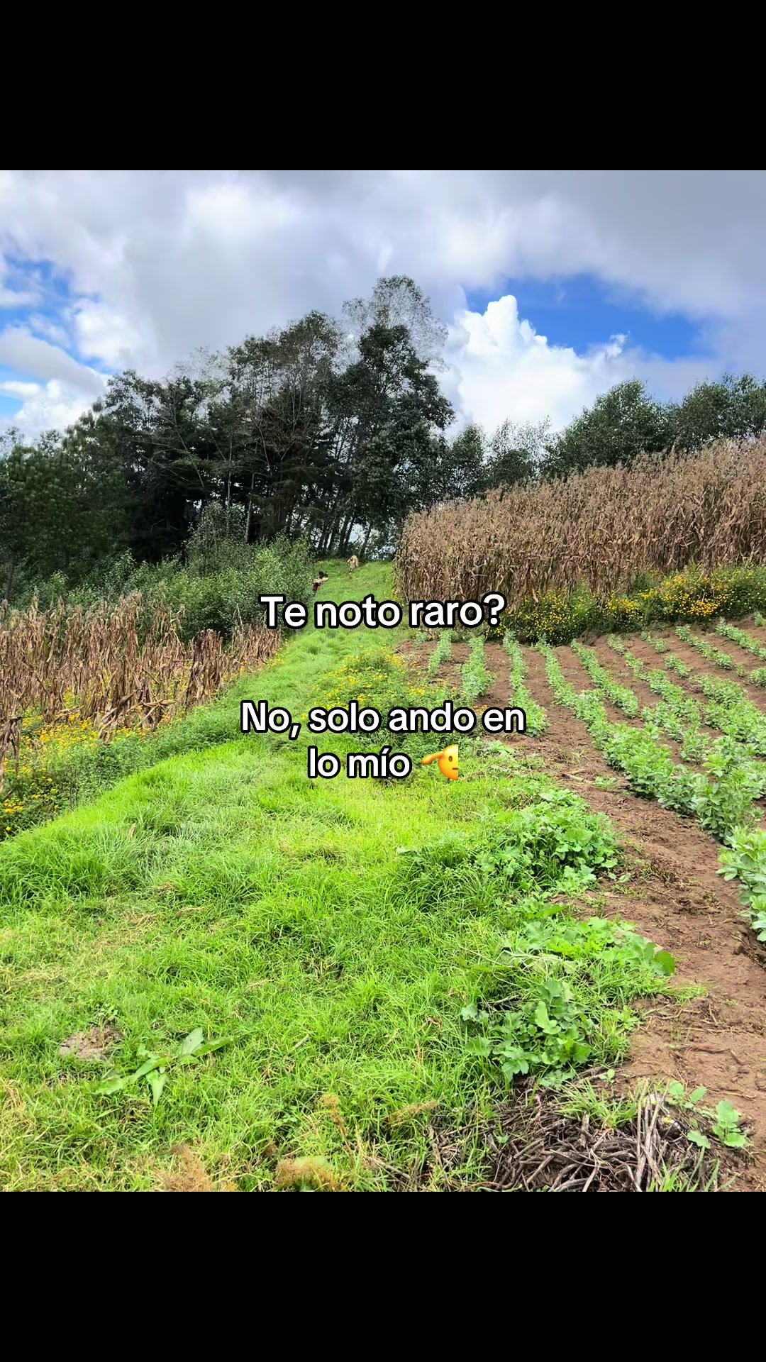 @Henry 🫡🤠