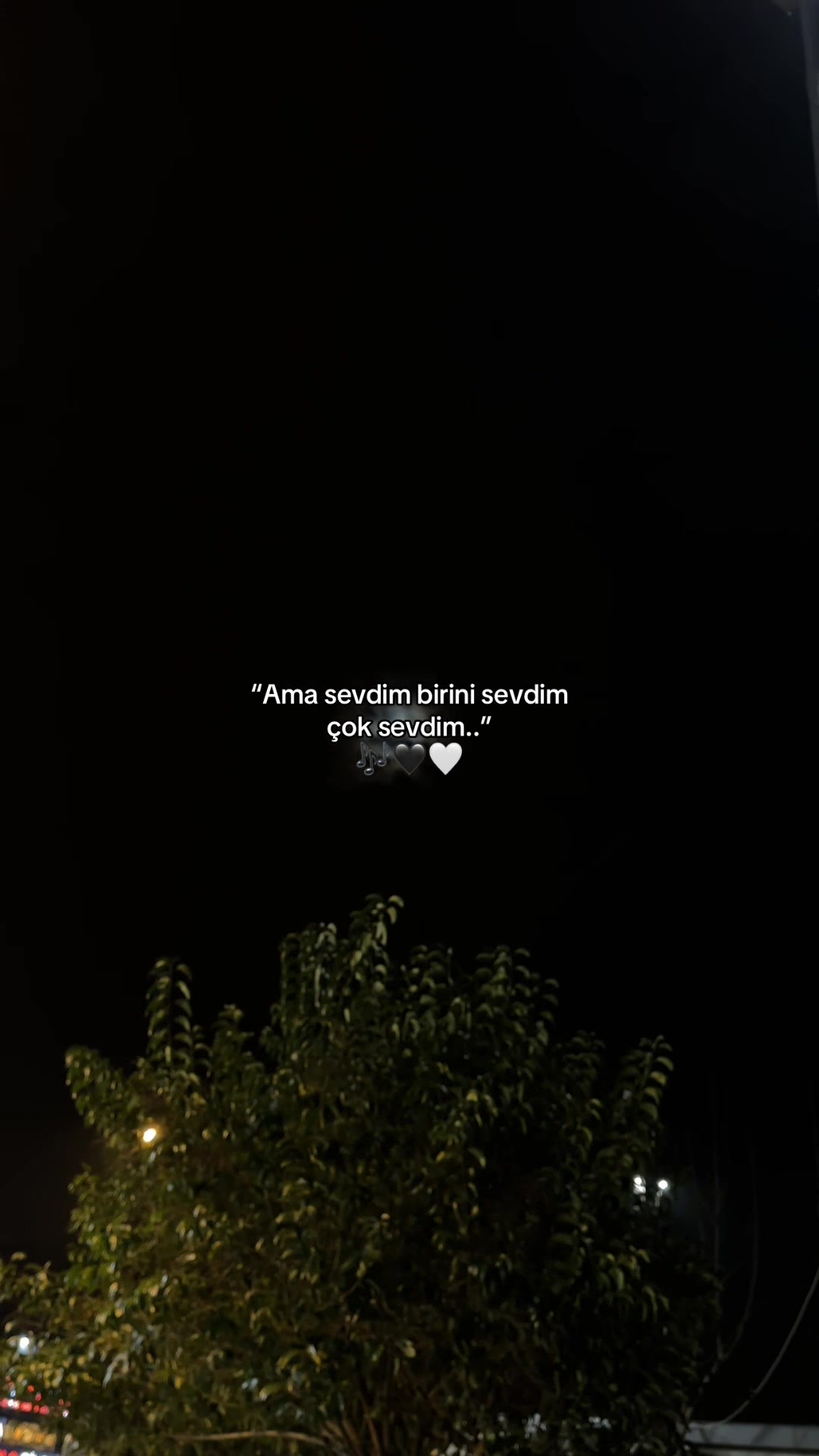 @TTKNN_STORY📍🌜