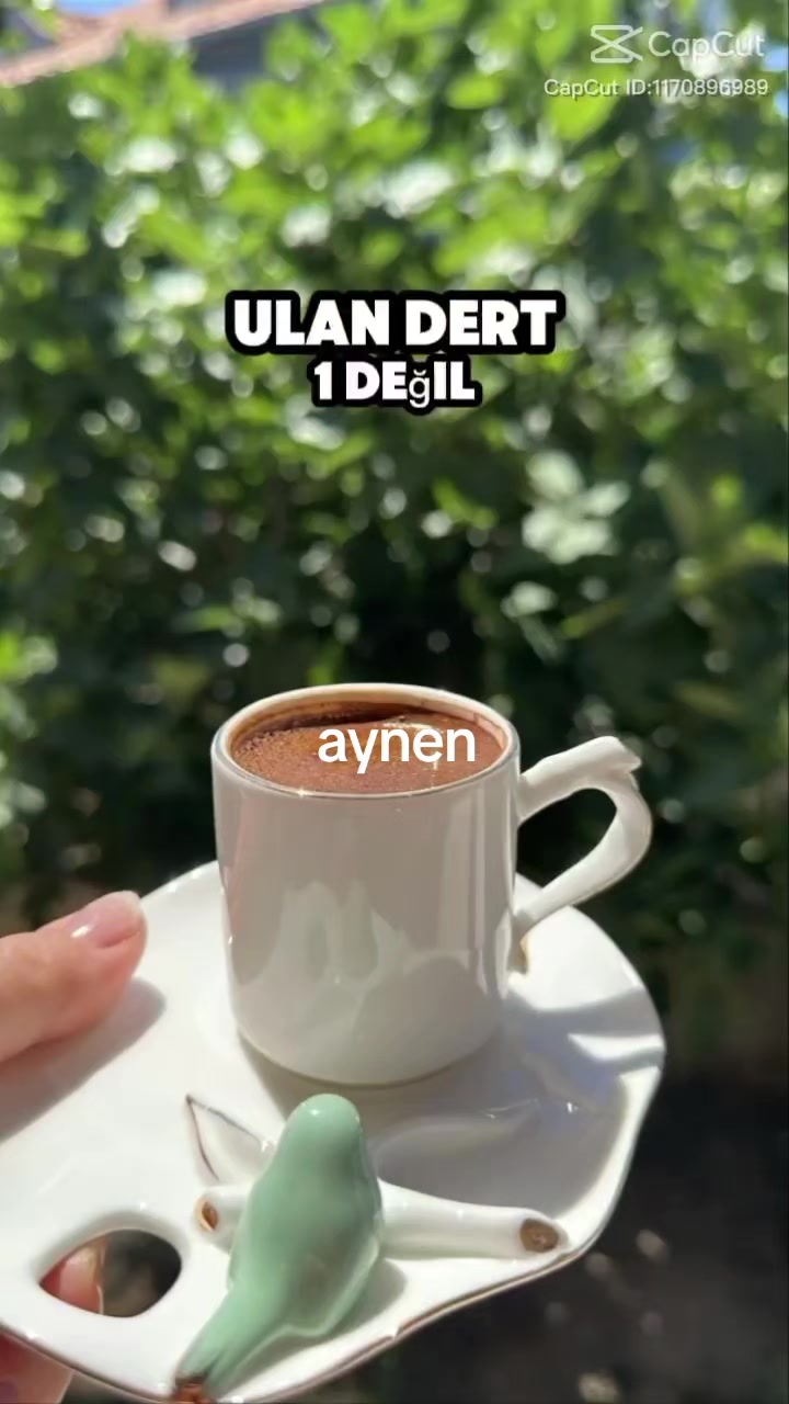 @Song&uuml;l