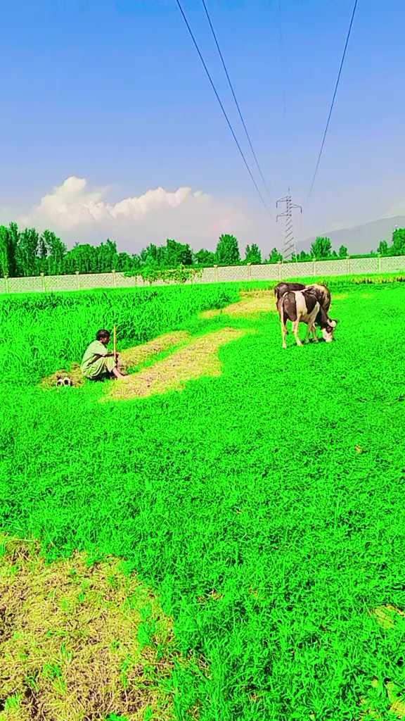 @ASAD Sarkar123