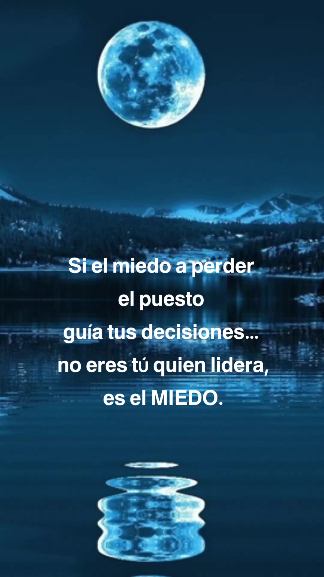 @MLM, VENTAS REDNATURA