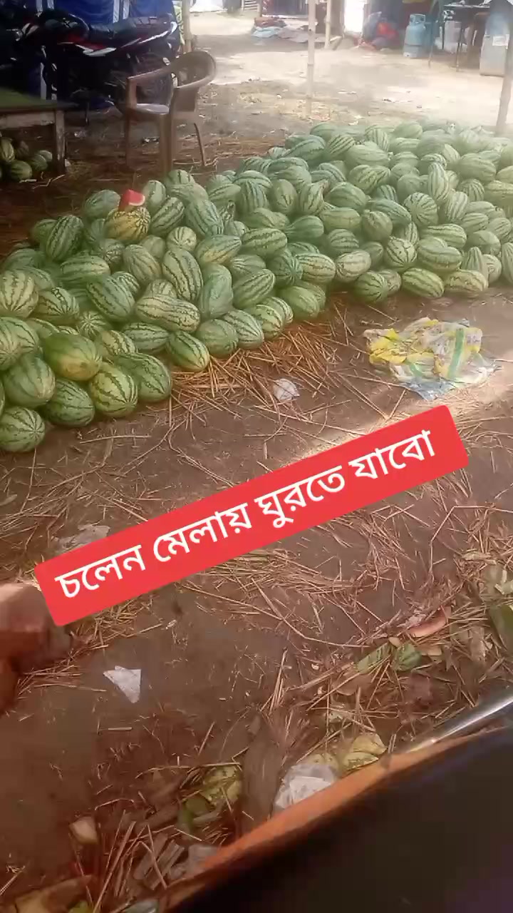 @Md alif Hossen