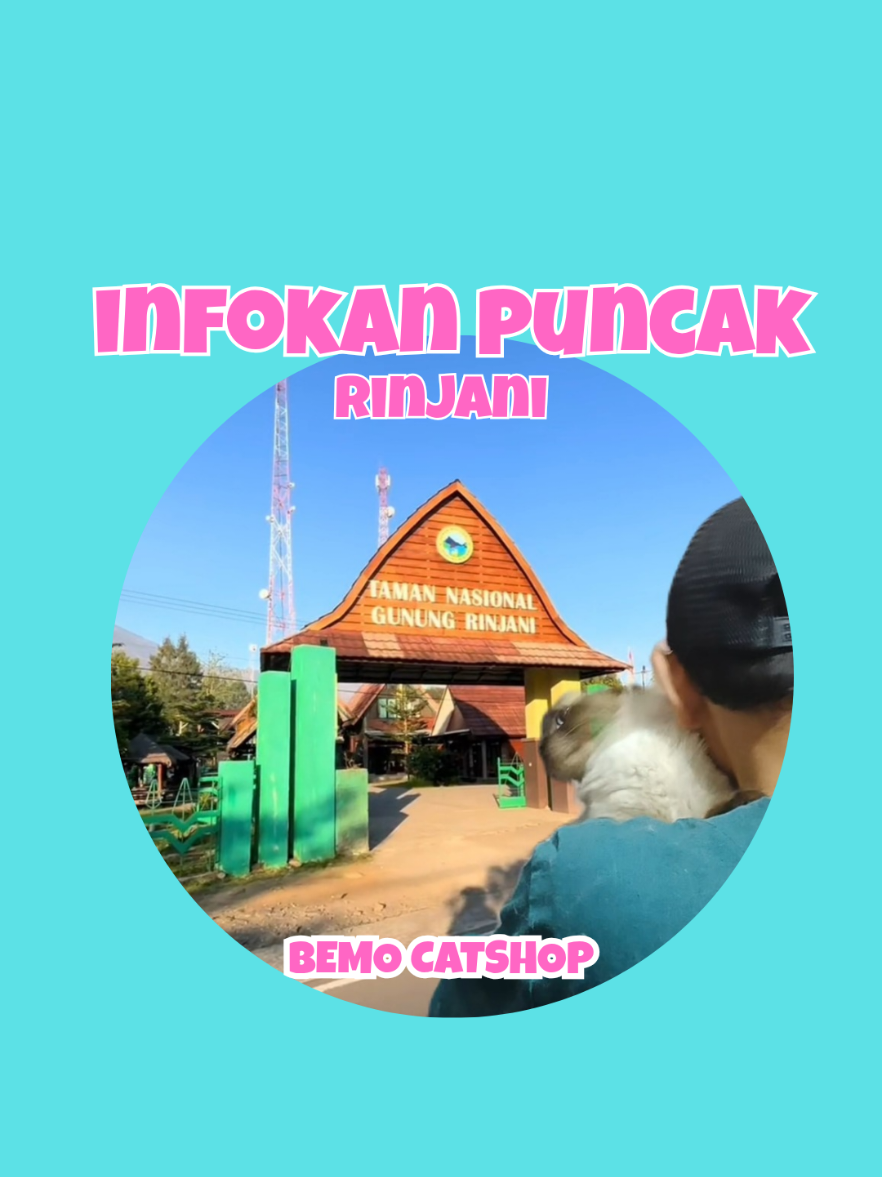 @Bemo Catshop