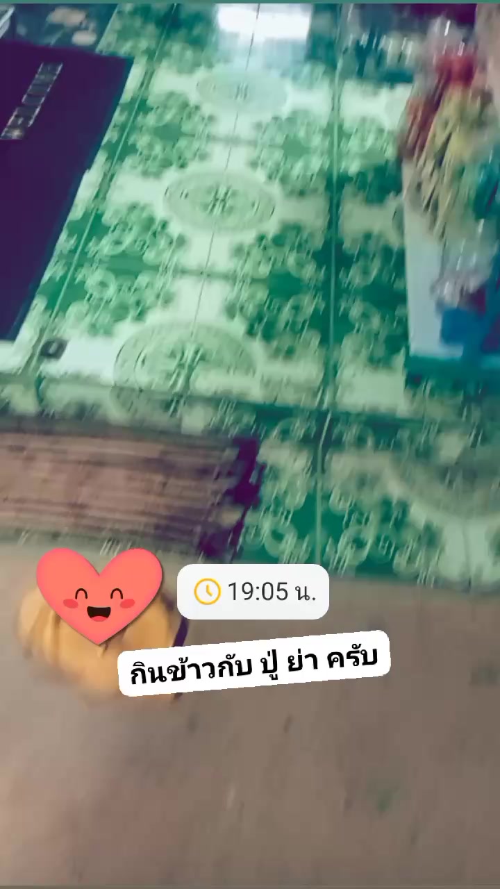 @ฟ โฟกัส🥰♥️