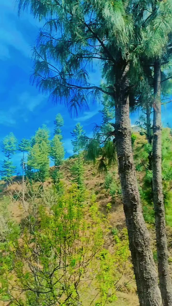 @ⁱᵗˣ_N͟&Oslash;&Oslash;R͟_ҜㄗҜ