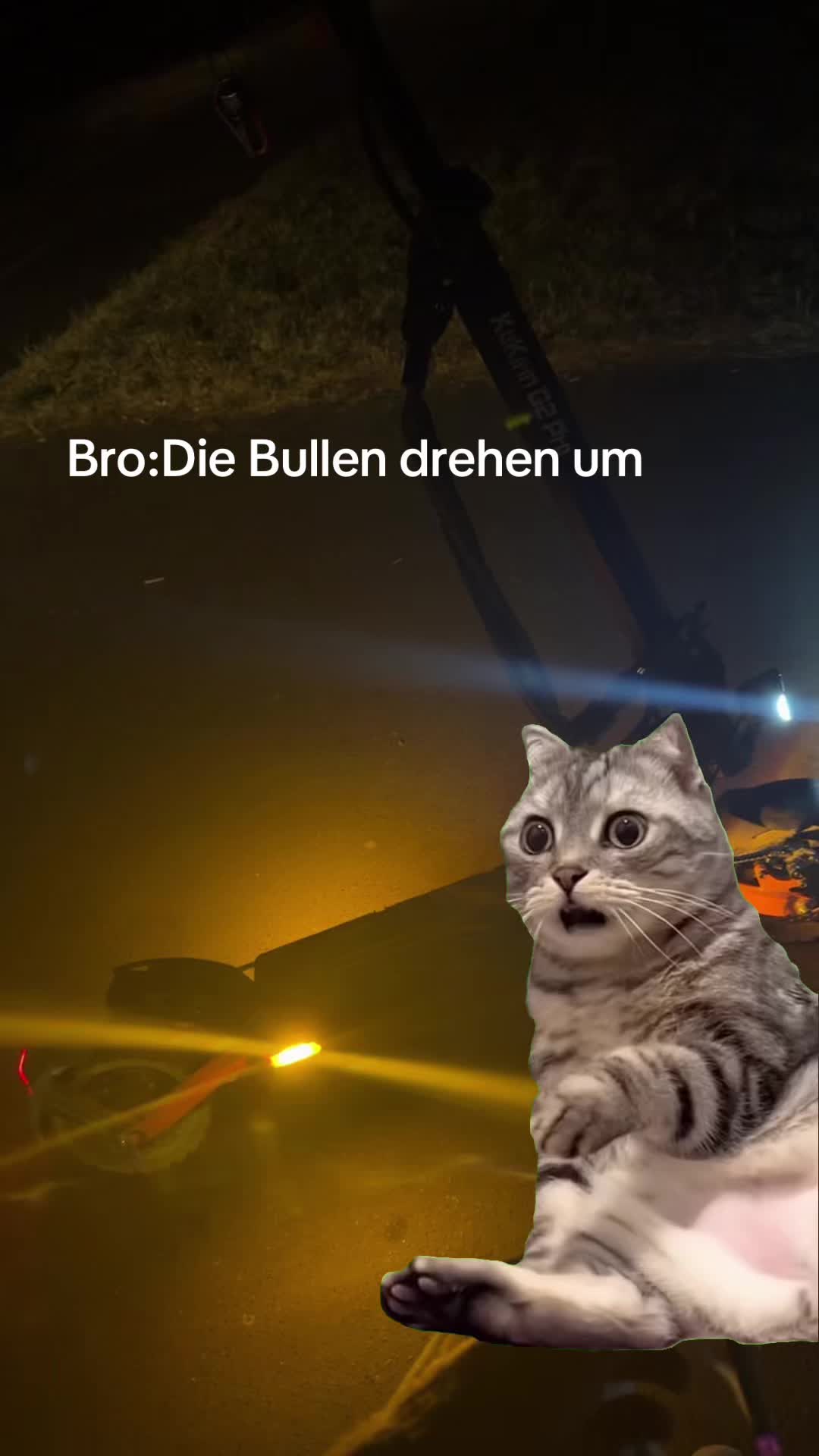 @Kukirin_koeln