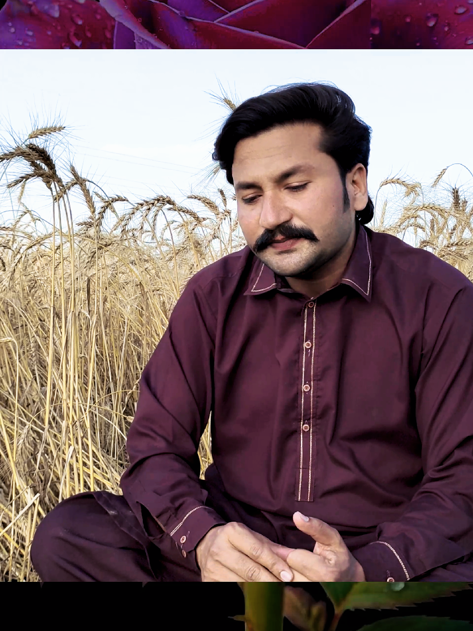 @Shahzad Ashraf