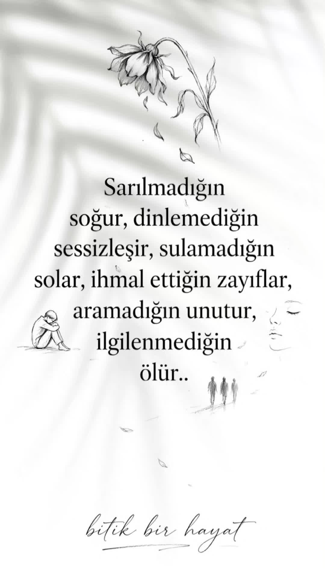 @aslaniçe