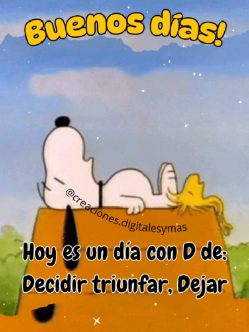 @adachajon.gt