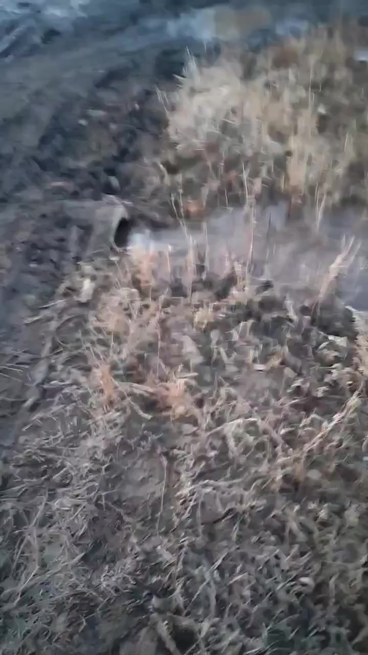 @Ольга03rus