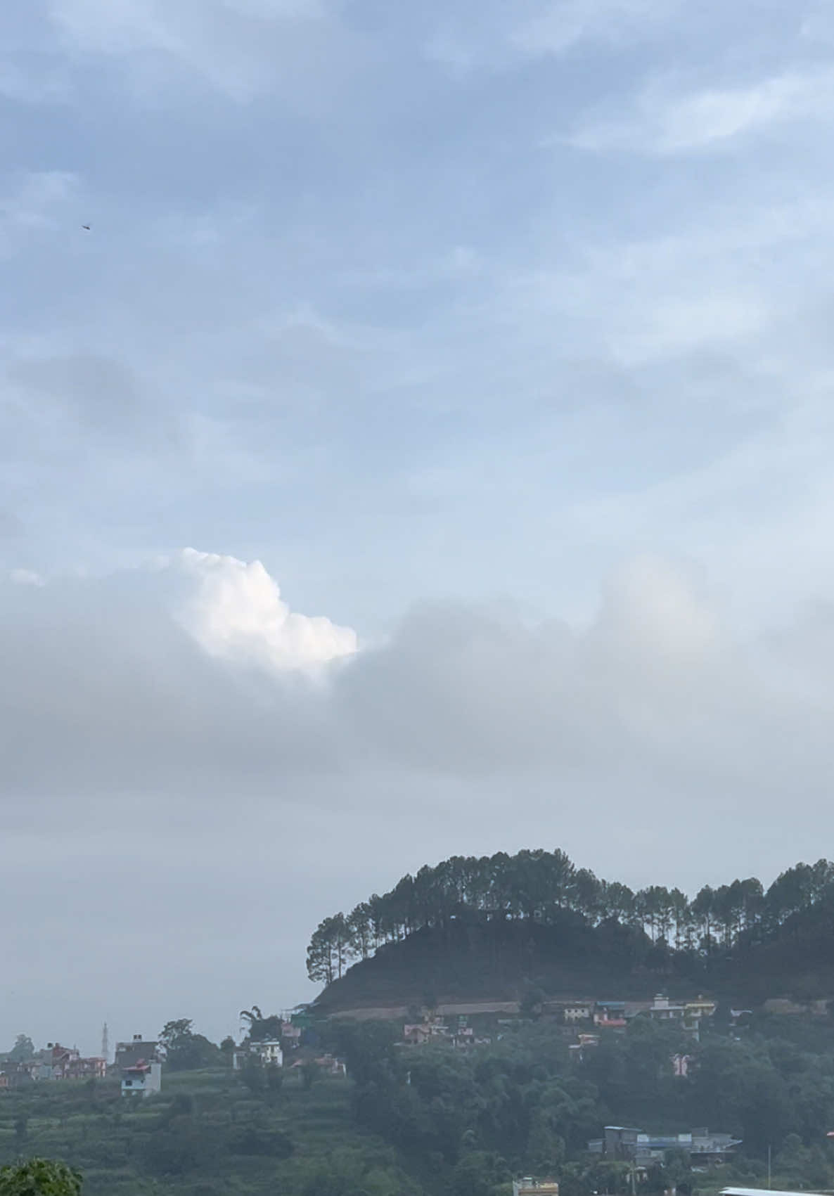 @8055🧿