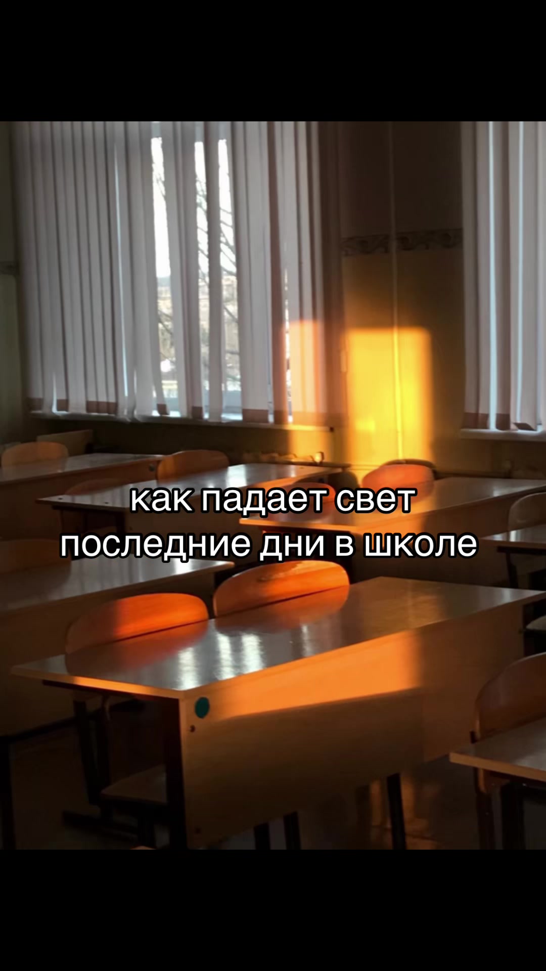@соня ларч