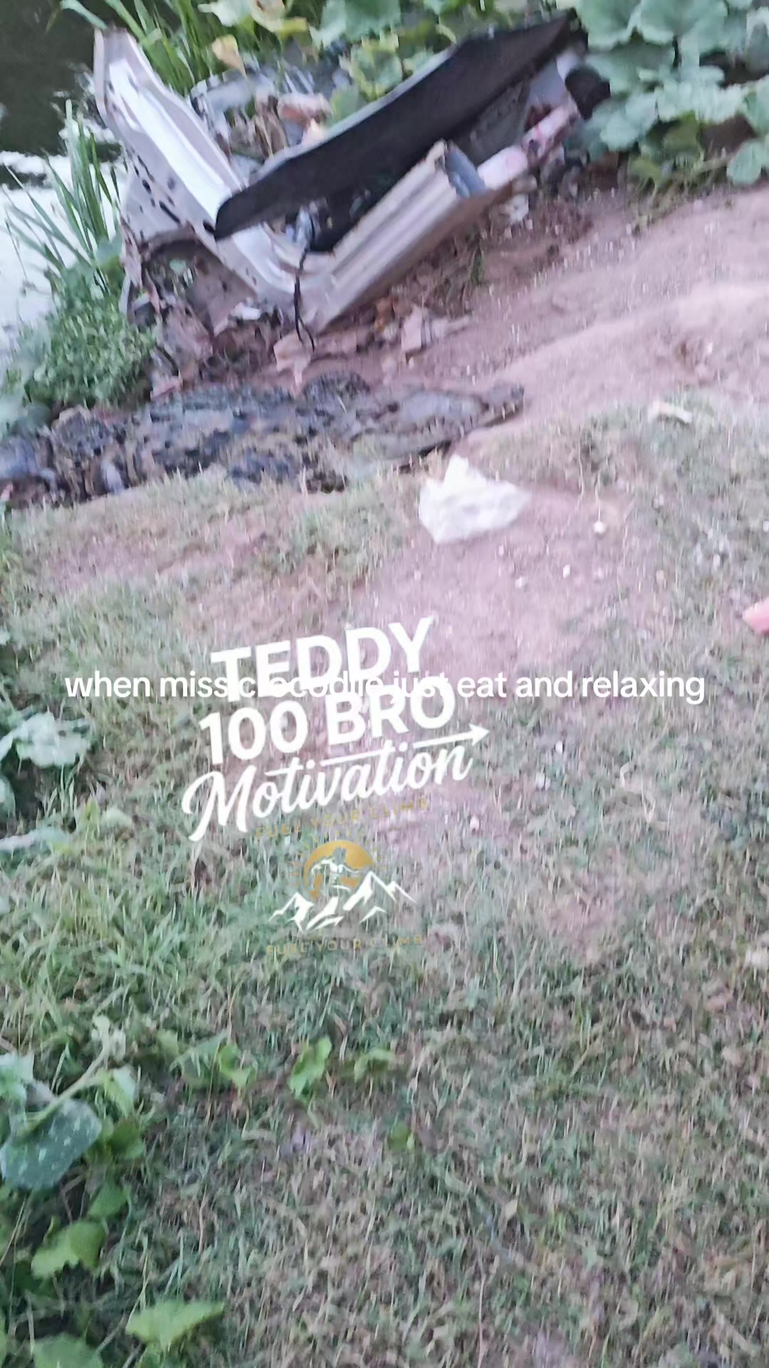 @teddy motivation and wildlife