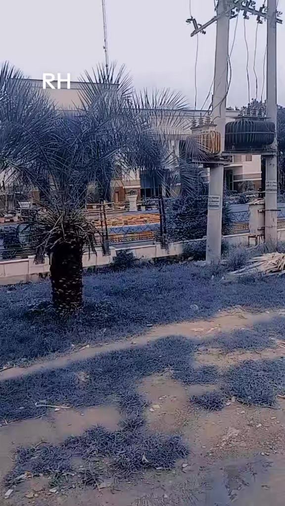@🤑شیخ صاحب 341