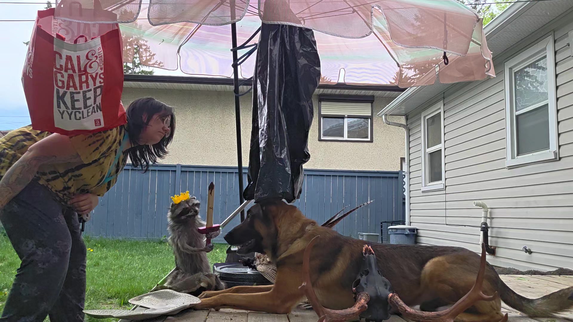 @Steph-RaisingHell.Hounds🇨🇦