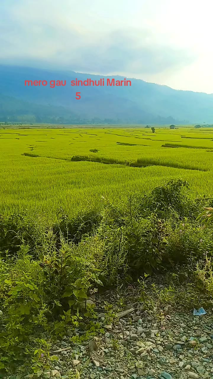 @Muna Majhi
