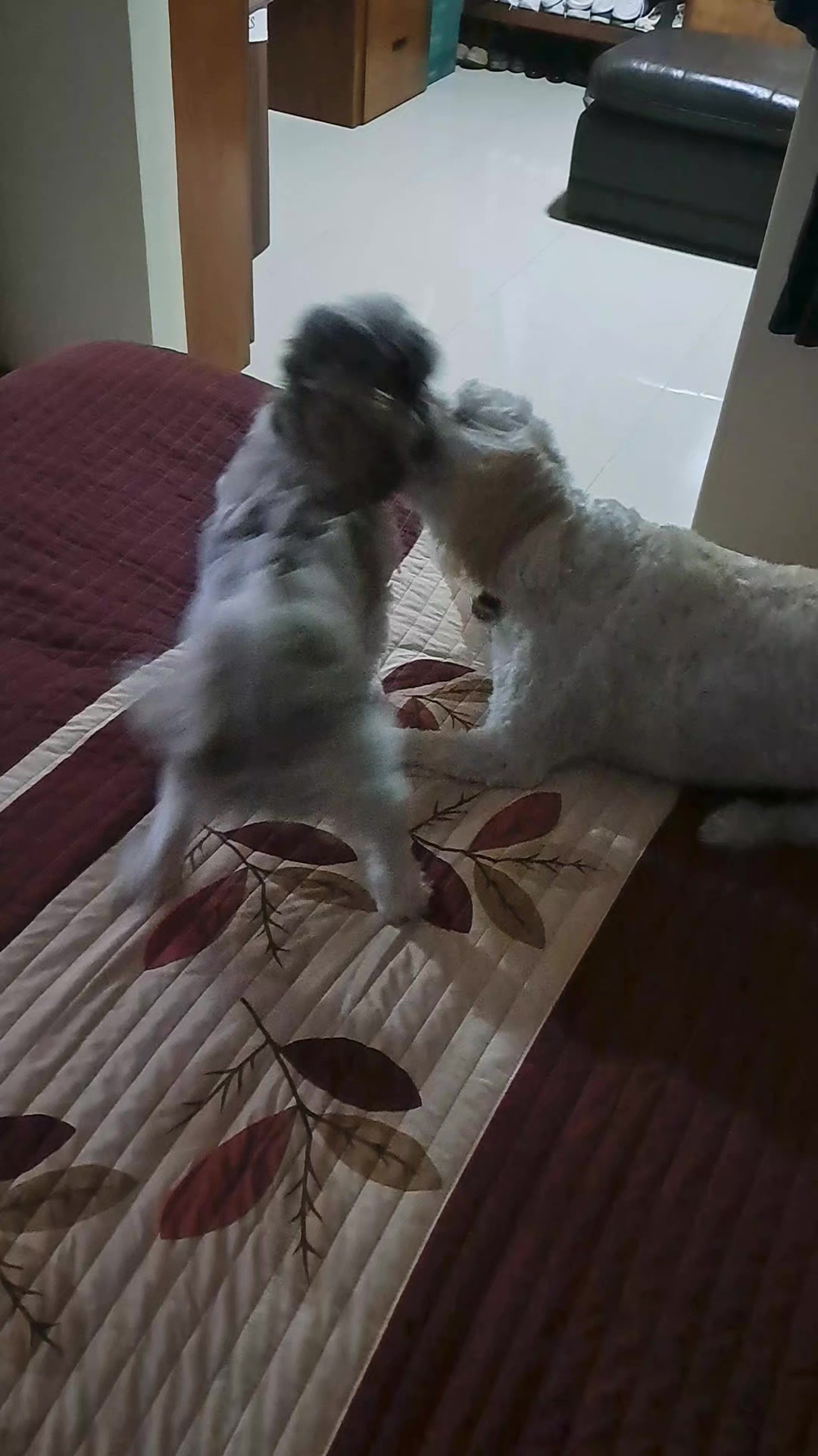 @Harry y Mila Life 🐶🐾