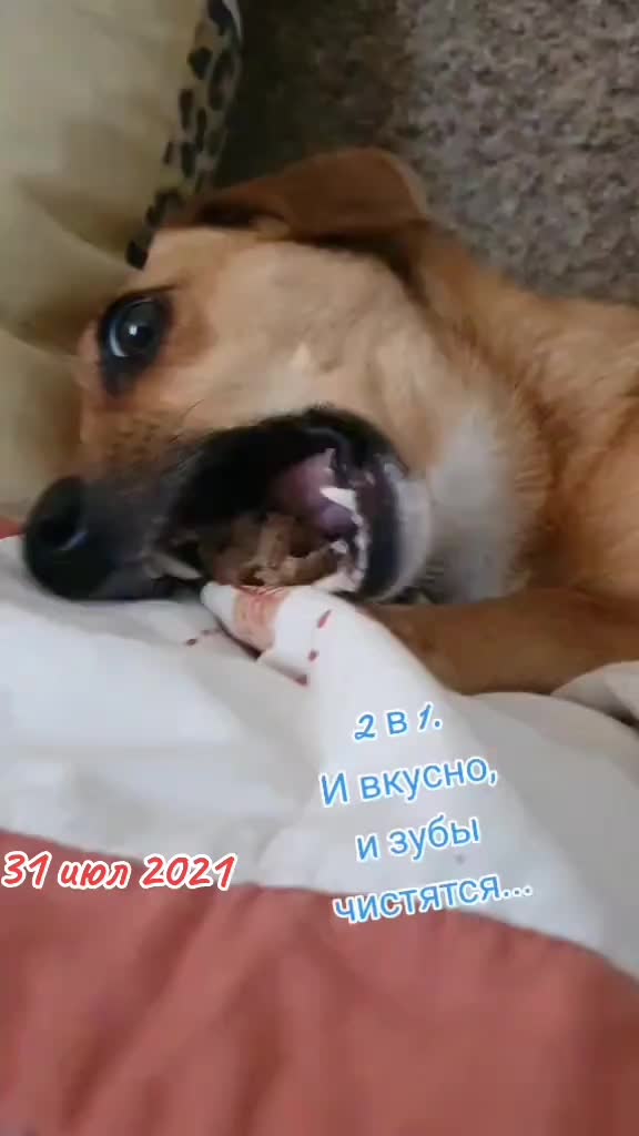 @ТILZIT 88-90