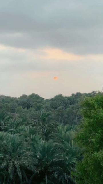 @حـمــد