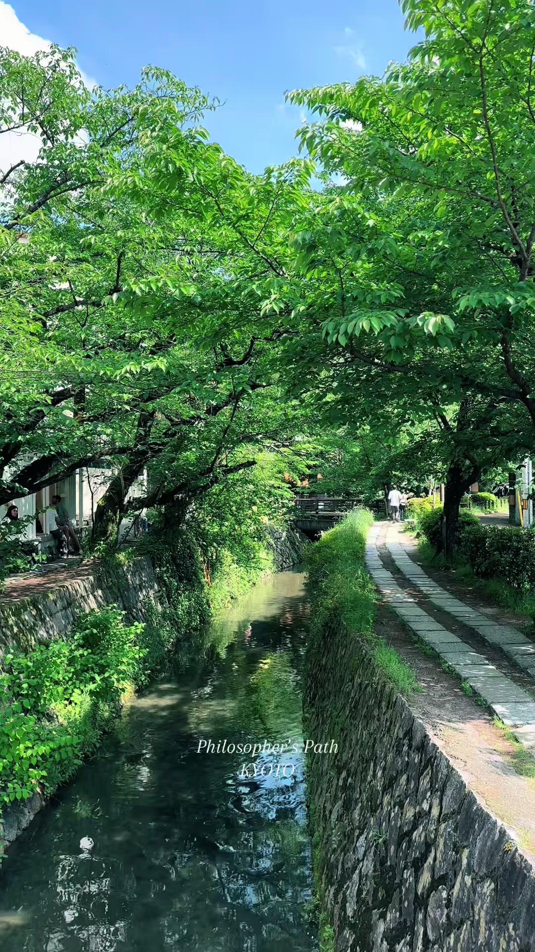 @Tanuki.no.mori