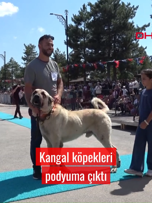 @Demir&ouml;ren Haber Ajansı