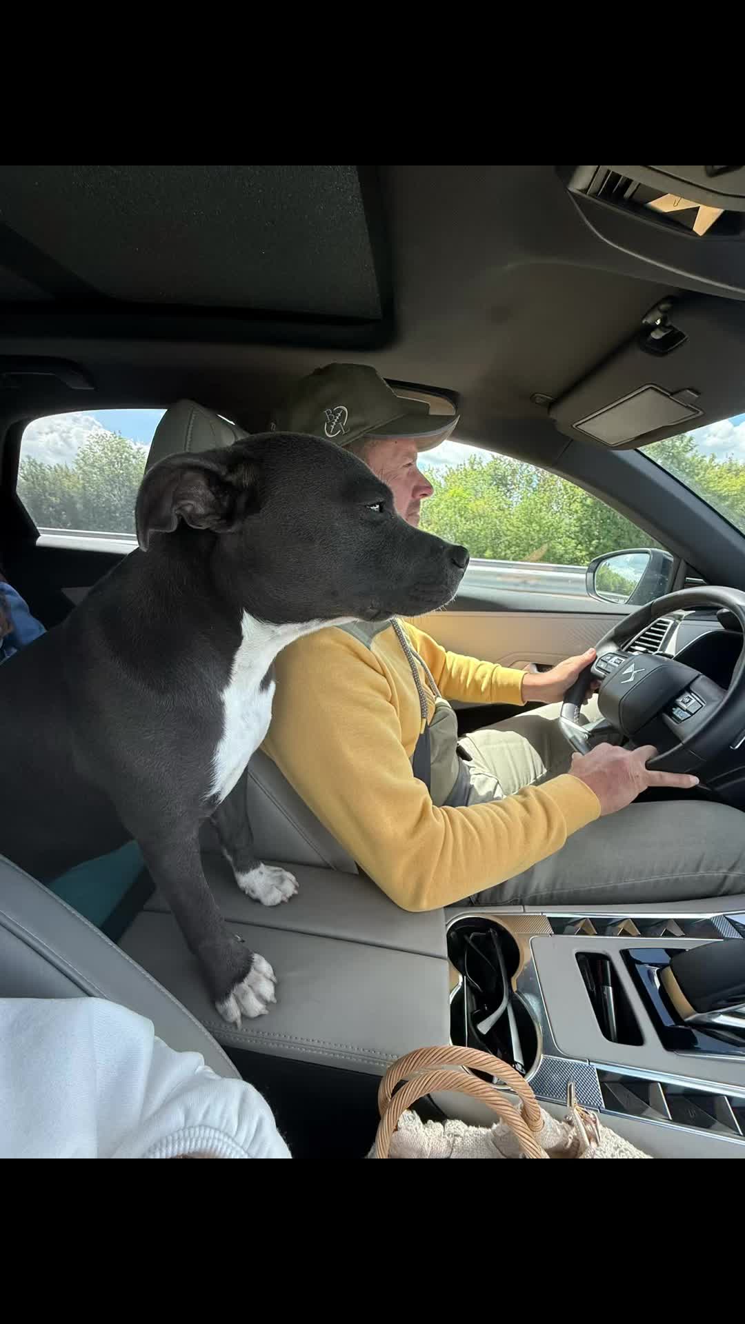 @staffy Alya