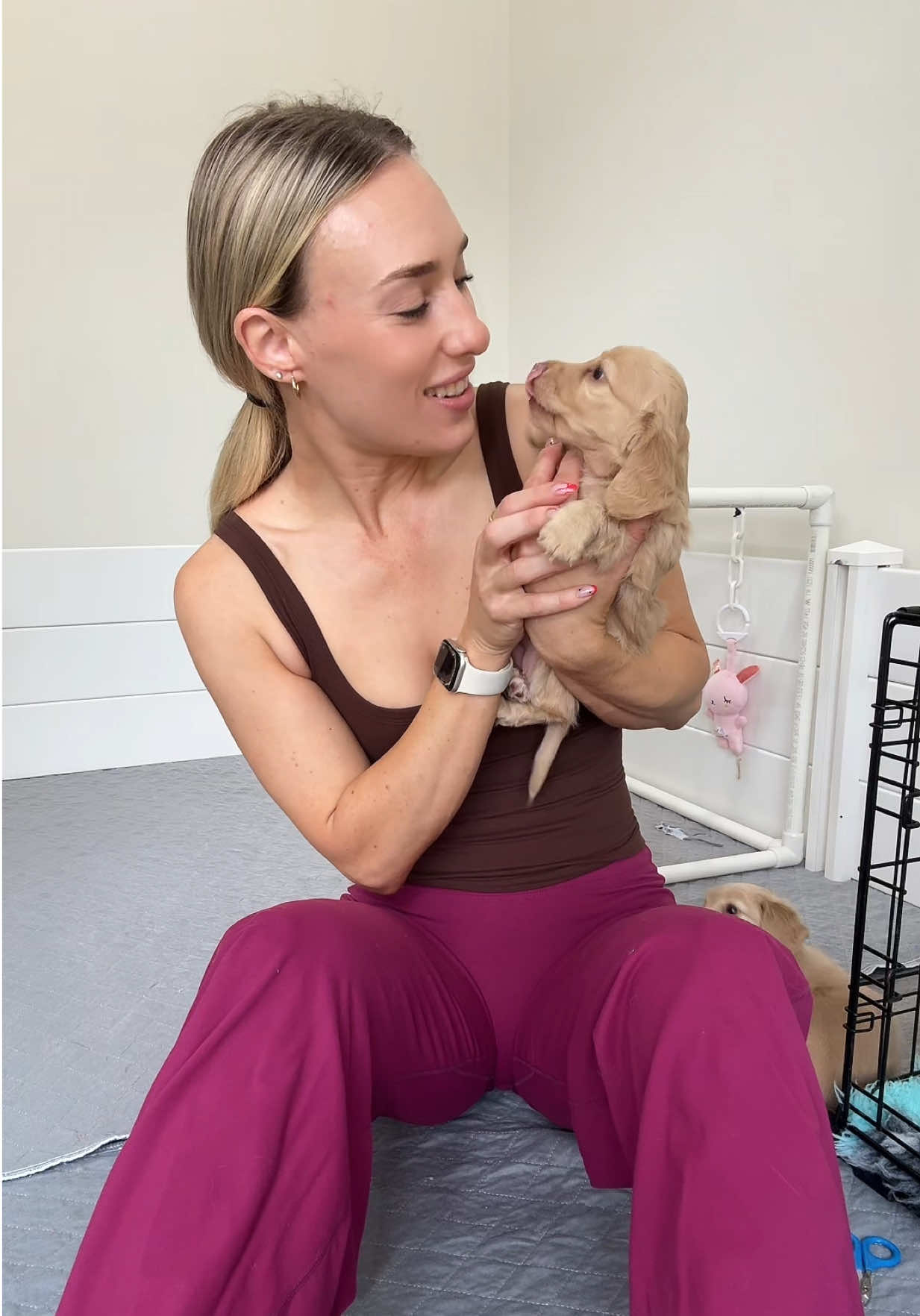 @Dachshund Dynasty