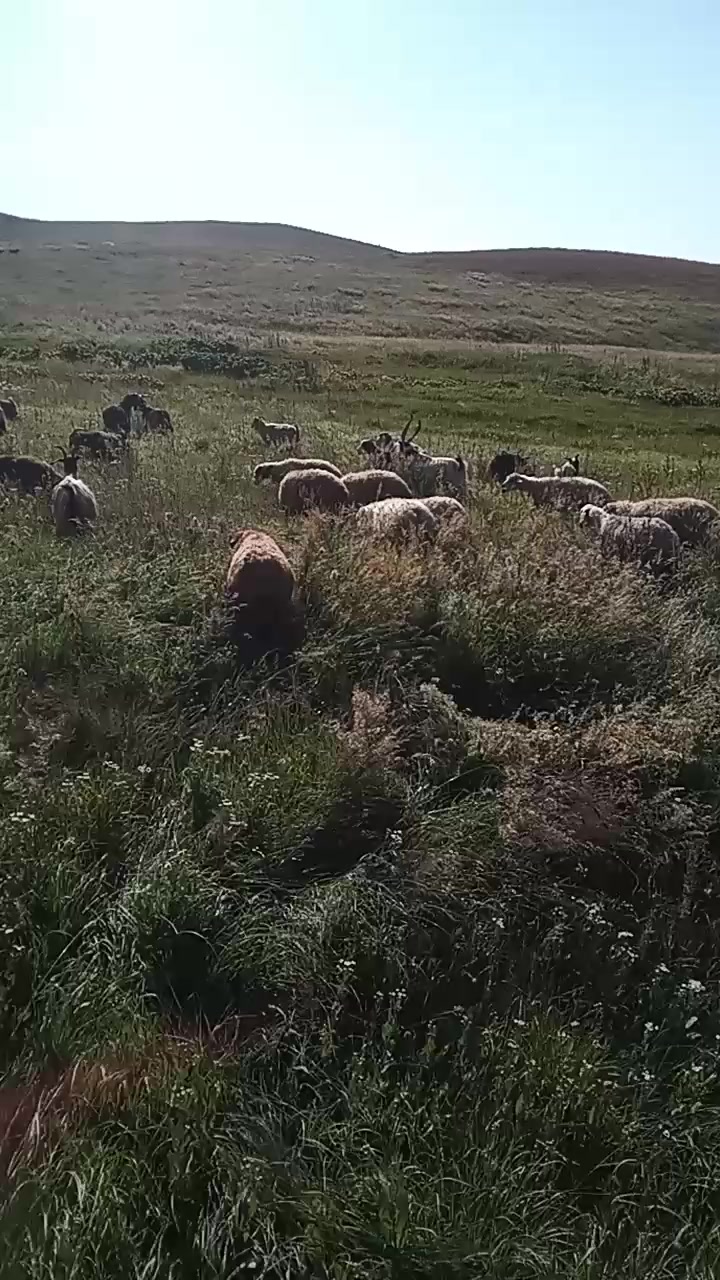 @Zahid cehrili