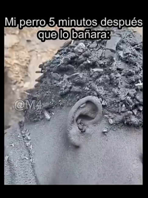 @AnxEdRandom