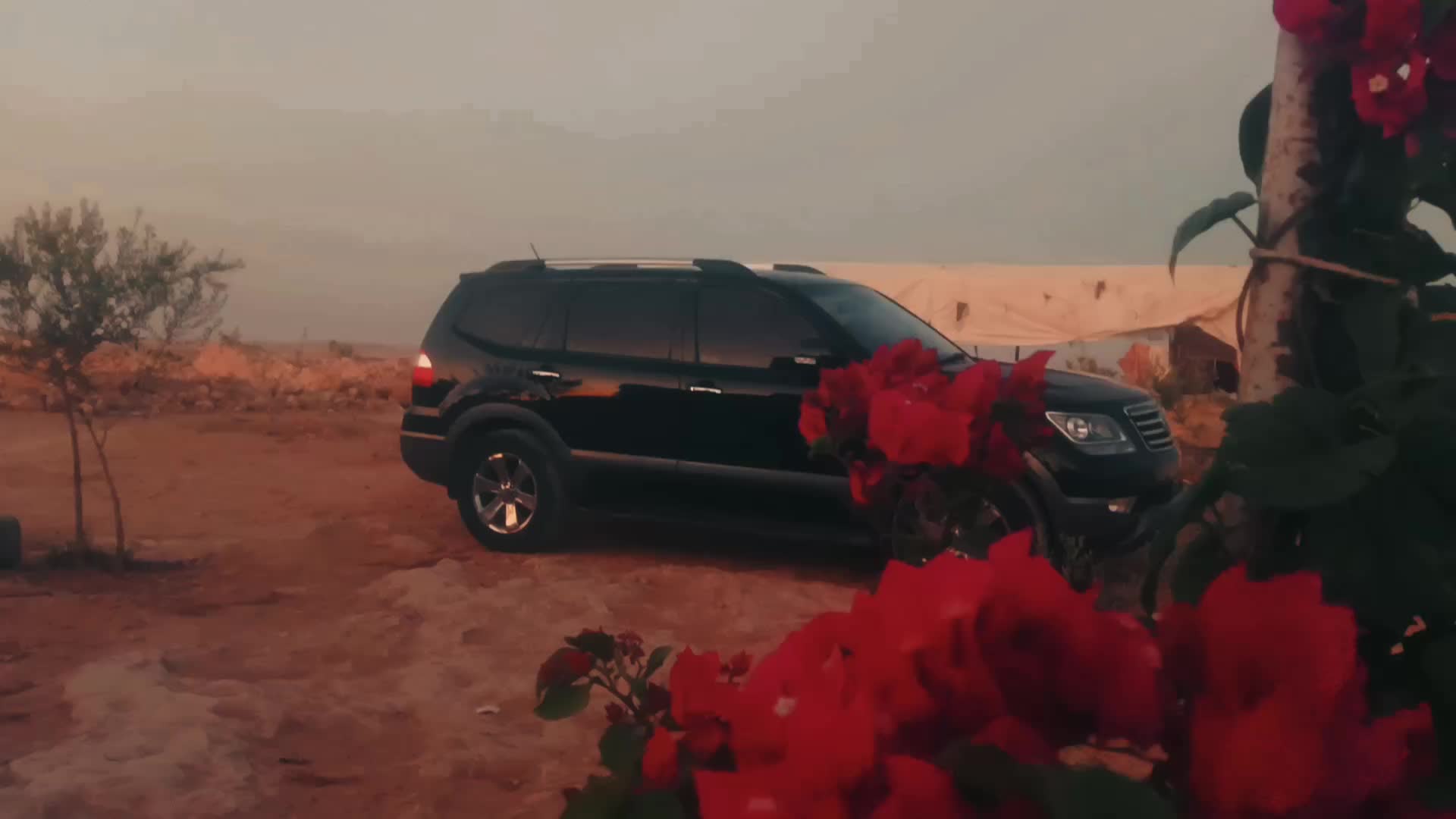 @۶مـإآﮃ/𝓘𝓶𝓪𝓭