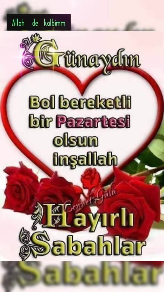 @Mehmet 46 maraşlı