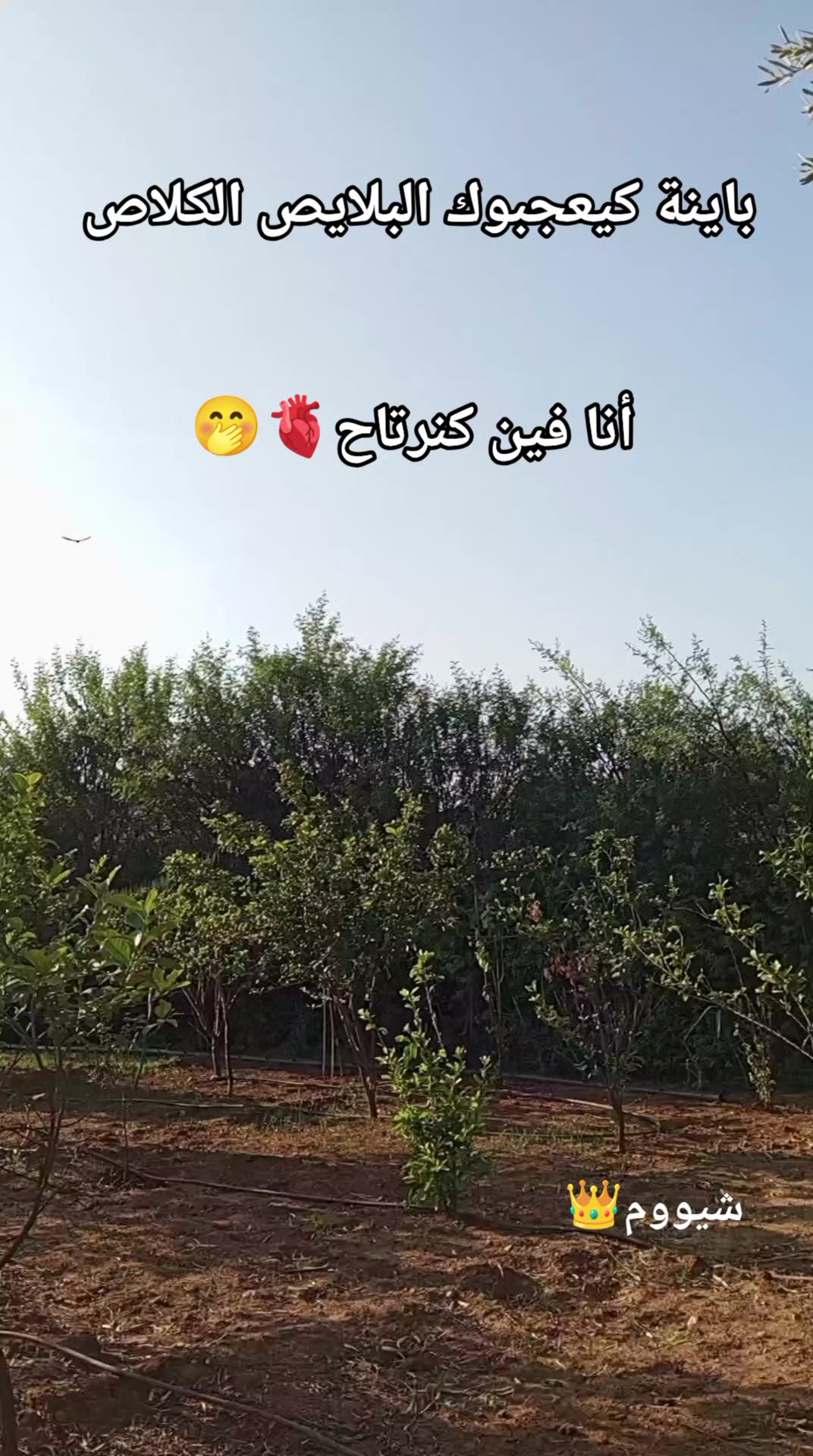 @شيووم👑