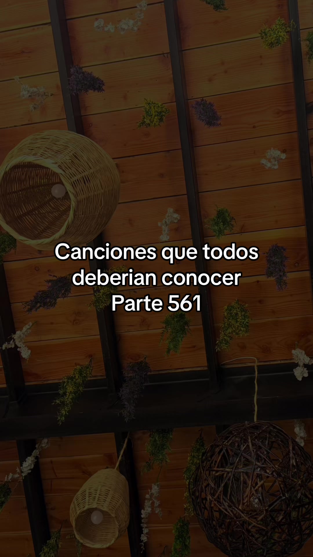 @Yoii musiic.