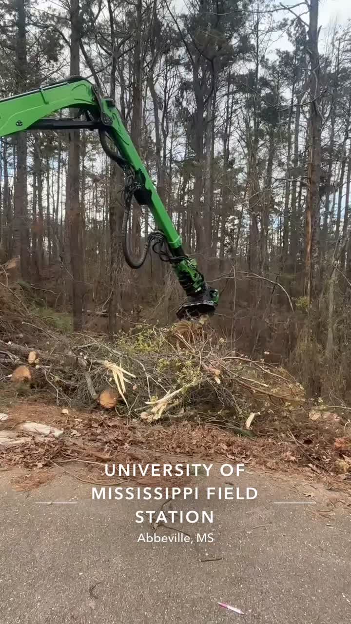 @R&G tree and landscaping