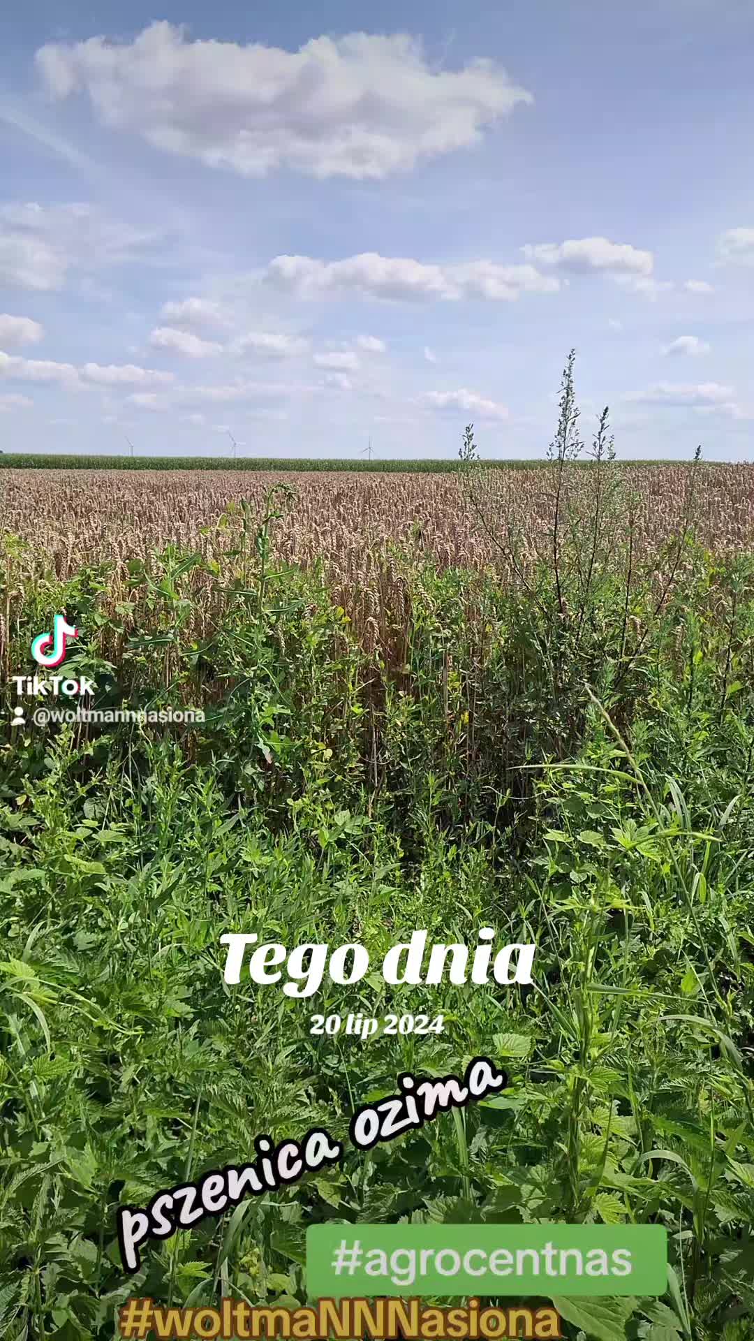 @WOLTMANNNASIONA