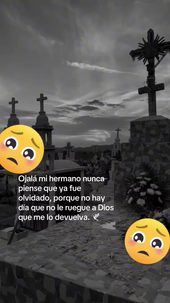 @Lupita Vidacp