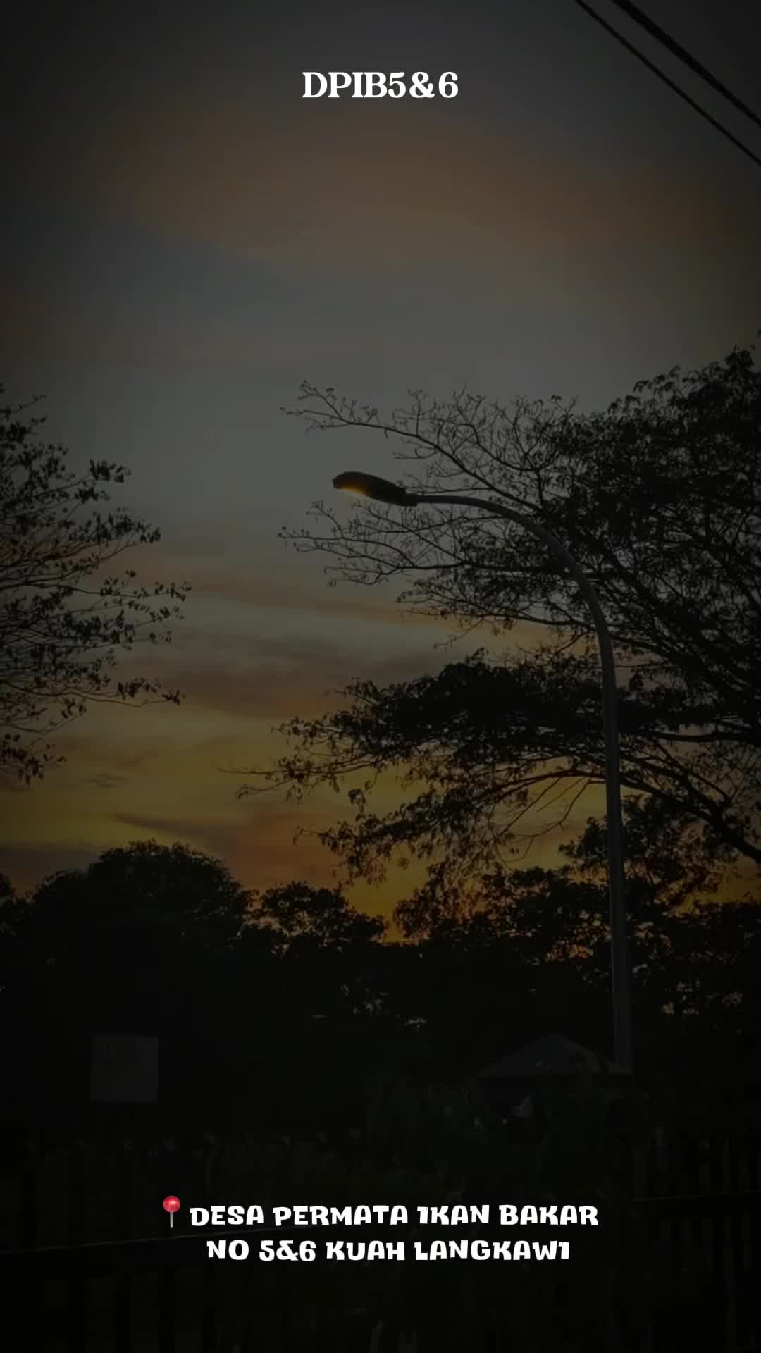 @desapermata56