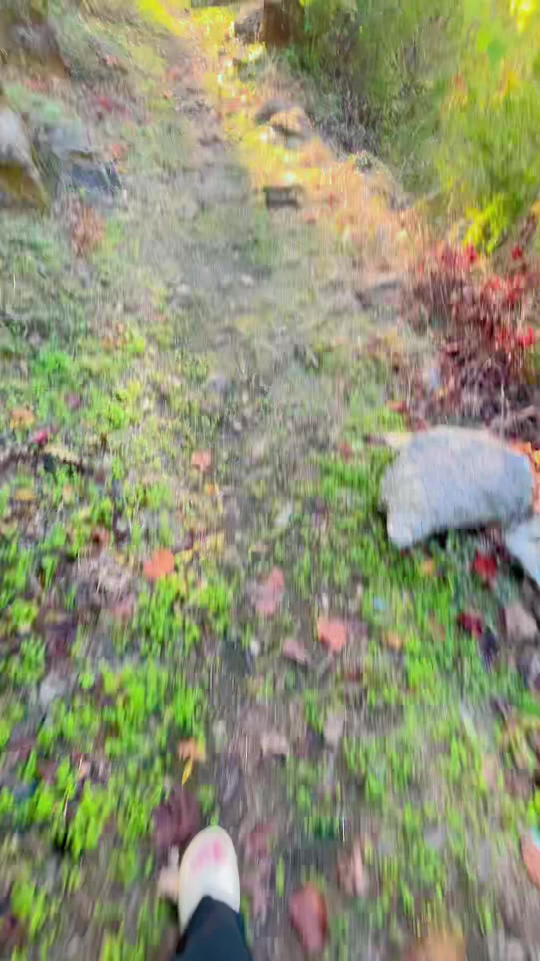 @🚷