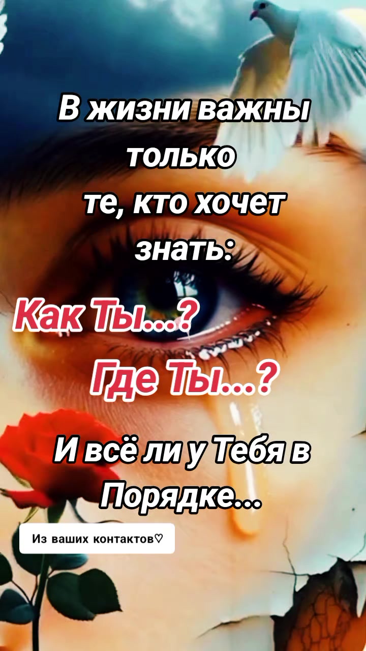 @LENA❤️